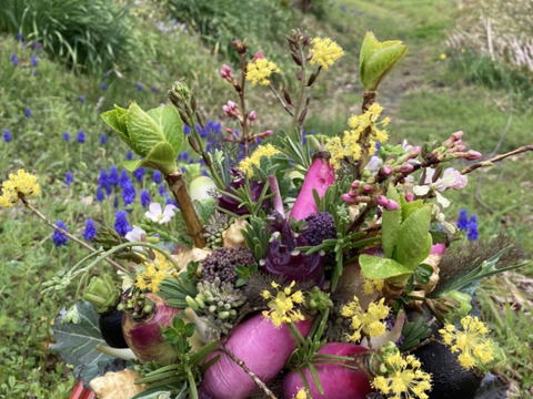 【期間限定】【春ギフト】花と野菜をミックスした ブーケ かごタイプ【カラフルなミニ野菜】【お誕生日】【開店祝い】【周年祝い】【お供え】
