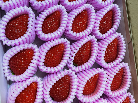 【日付指定・各種ギフト・熨斗 対応可能】♡いちごさん花嫁衣装プレミアム♡ 一粒ずつ丁寧にお届け【母の日ギフト】対応可