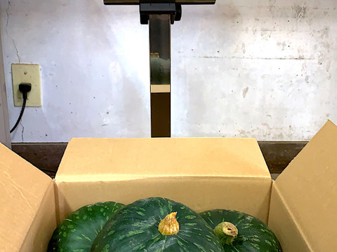 JAS認証 有機栽培　かぼちゃ　3個(栗太郎)