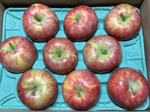 発送中🍎【人気上昇中 幻の夏りんご🍎】シナノリップ3キロ箱 6玉〜15玉サイズ 商品ID41076 長野県 信州 安曇野 リンゴ 幻 幻のリンゴ 予約 希少 旬