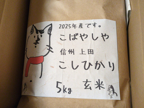 第３次予約‼️　もっちもちの25年度産新米!!　信州上田産コシヒカリ玄米5kg おむすび お弁当に　令和7年 農家直送