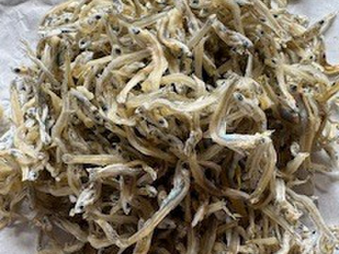 倉橋産ちりめん　塩分控えめ　　１ｋｇ　少し大きめ　③