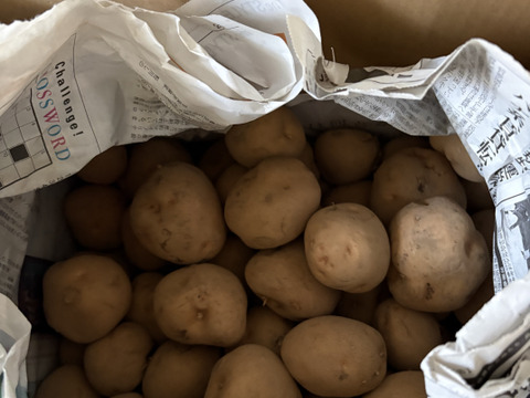 訳アリ氷温熟成じゃがいも　キタアカリ　10㎏