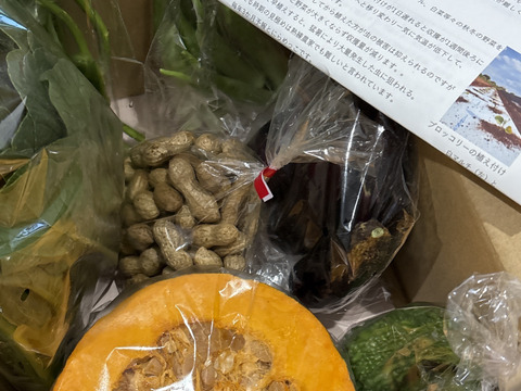 テーマは『優しさ』旬の野菜セット(野菜7種類以上)農薬・化学肥料不使用