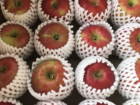 【懐かしの味】青森県産りんご 「紅玉」家庭用 キズ有 約5kg 【フルーツキャップ詰】