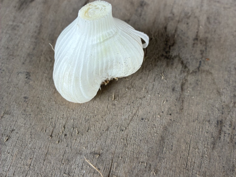 青森県産 令和8年産にんにく S〜SSサイズ混合 約1kg：青森県産のその他