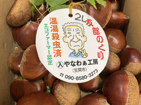 もりやんさま 美玖里1kg 笠間の和栗☆生栗