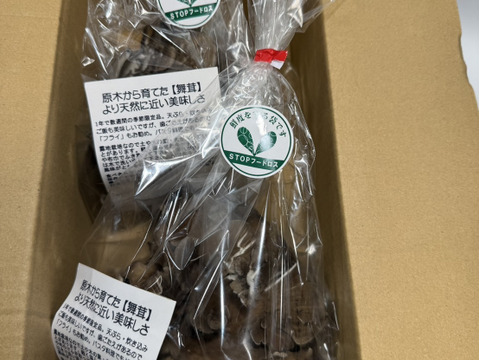 原木から育てた舞茸【今だけ！！秋限定】原木栽培
500g（250g入り x 2袋）　高鮮度保持フィルムで包装