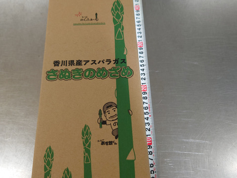 香川県産アスパラガスさぬきのめざめLサイズ１㌔