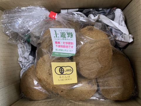 【令和６年産】バナナを上回るビタミン宝庫！棚田の有機キウイフルーツ(１㎏）【S～M混合】