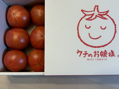 【2023～2024シーズン終了】味の濃厚さにハマる！フルーツトマト　1キロ箱詰（正味800グラム程度）※サイズ指定不可