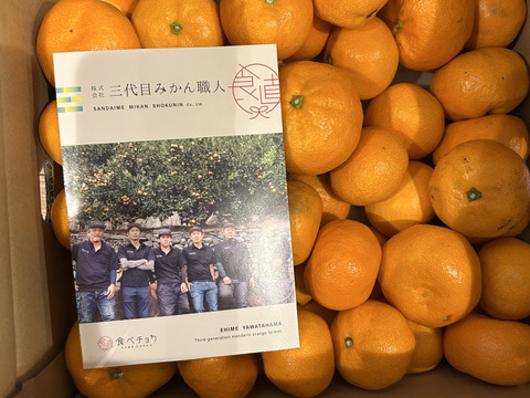 【訳あり】頂みかん5ｋｇ