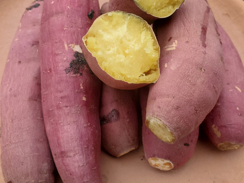 焼芋サイズ2.5kg/箱詰/土付　熟成べにはるか