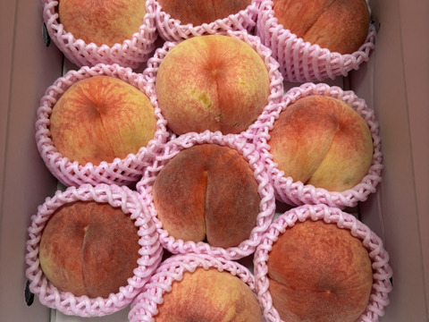 あかつき3kg【自宅用】訳あり品🍑数量限定🍑【朝どれ】直送🍑朝採り🍑硬い桃🍑ジューシーで甘味と酸味のバランス◎🍑パリパリ甘い🍑中生品種🍑7月下旬頃～収穫予定🍑福島ふくしま代表品種🍑