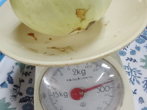 大好評，地層が違う淡路島、大玉、新玉ねぎ、七宝早生(風袋込み10キロ)