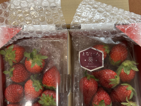 ⑪　真心農園　とちおとめ・あまりん 食べ比べセット【葵】化粧箱２パック入り　形の良い中粒ぞろい　数もボリュームも満足