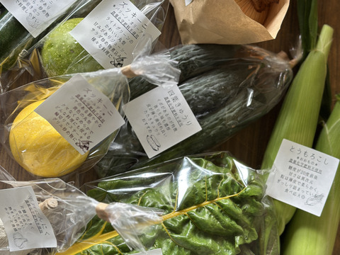 【今だけ！】農薬化学肥料不使用キラピカ野菜BOX7品グリーンレモン&ぴゅあみかんジュース１本