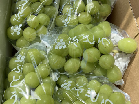 甘さバツグン『シャインマスカット』2kg：鹿児島県産のシャイン