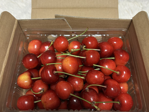 ○500g☆名和果樹園の贈答用秀品紅秀峰L〜2L【常温便】山形県東根市産