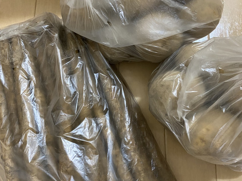 【とうや☆ごぼう】香りと甘みと柔らかさが自慢のごぼう❣️濃い味とうや❣️とうや約1.7kg✕2袋とごぼう約1.5kgセット