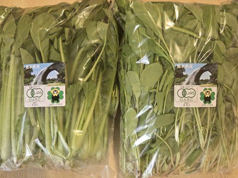 有機JAS  元気たっぷりルッコラ！小松菜各×500g