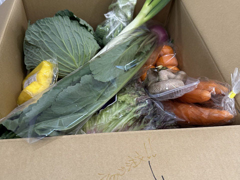 【たくあん2個入】畑より採りたて直送！野菜セット Ｂ（8品）