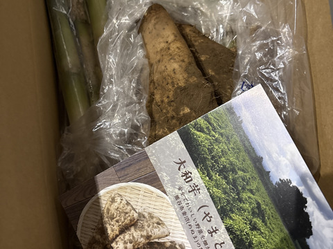 採れたて瑞々しい長ねぎ 2kg + 粘りの強い大和芋 2kg【冬ギフト】