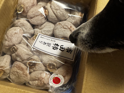 【訳あり】市田柿（干し柿）！糖度60度超えの南信州の冬の味覚！ほんわり・ふっくら・柔らかい甘~い和菓子の規格外品【ご家庭用・2kg】【農薬削減率50％以下】※注※北海道･九州以外がお届先の方専用※