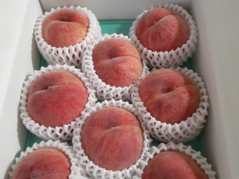 〈2026年先行予約〉【桃：夏雄美・2kg程度】早生ながら甘み、食味抜群！希少品種