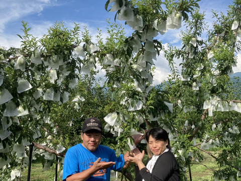 希少品種　長野県産プラム（すもも）「秋さやか」　甘さ・香り・味・酸味どれをとってもバランス最高！　（9〜15個　約2kg前後）
糖度17度〜21度
今シーズンも終盤となりました