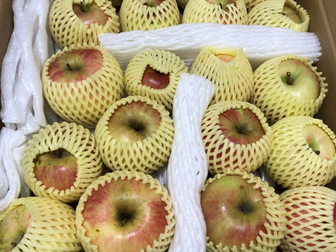 家庭用】夏あかり 約4kg(12-25玉) シーズン最初のサッパリとした