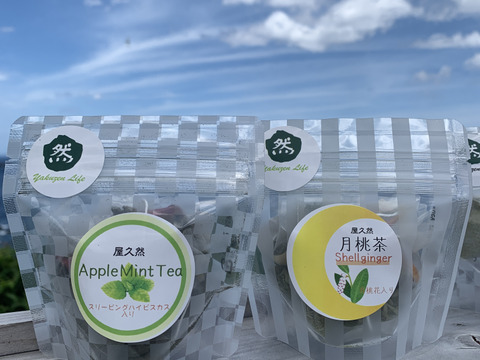 月桃茶ティーバッグ3包✕2　アップルミントティーバッグ3包✕2　合計4袋セット