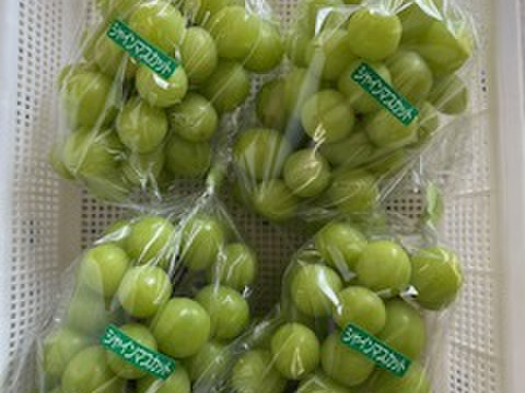 シャインマスカット 約500g×4房 1箱2kg入り 2箱セット：山梨