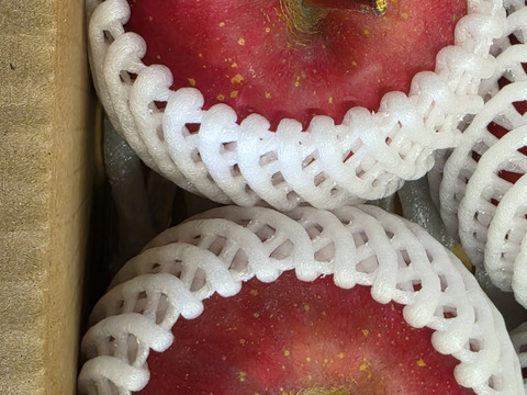 数量限定です！
シャインマスカット&旬の３種詰め合わせ
トキ▪︎ほのか▪︎紅玉　　各２玉♪