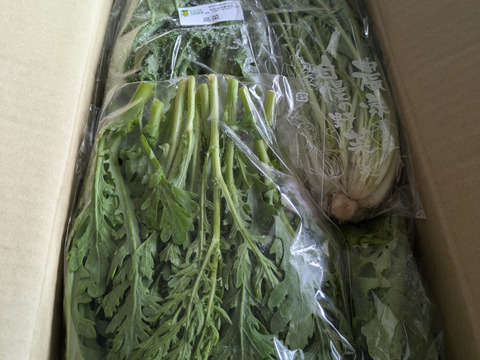 【少量サイズ♪】信州冬野菜セット10品目 お試しにも！