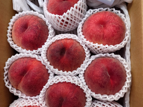 運命の出会い⁉️【67品種の桃を栽培】品種は何が届くかお楽しみ！白桃3㎏【夏ギフト】