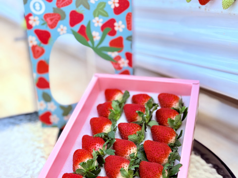 香川県オリジナルブランド🍓特選『さぬきひめ』400g化粧箱