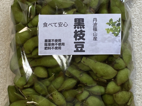 丹波篠山産　農薬不使用　黒枝豆　食べ納め