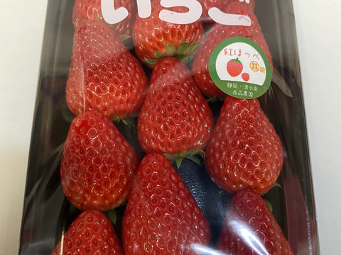 朝採りいちご！静岡県の新品種きらぴか2パックと紅ほっぺ2パックセット