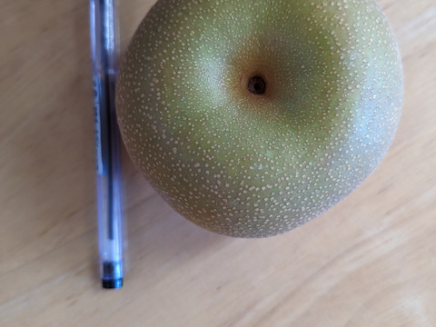 幸水呉羽梨9,10玉3ｋｇ