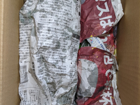 ホウレンソウと茎立ち