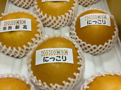 【秋の梨詰め合わせ🍐】新高とにっこり贈答用約5kg✨樹上完熟の甘くとってもフルーティーな新高と甘くてとってもジューシーなにっこり梨の食べ比べ‼️お届け後の日持ちを良くするためクール便で最速発送🚚
