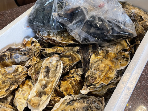 1/1～1/6は休業【水産庁補助事業　送料無料】🦪 生食用４ｋｇ 殻付き 牡蠣 （28〜55粒）牡蛎 殻付き牡蛎 kaki カキ 松島牡蠣屋 BBQに最適🔥 海産物 オイスター 😋生牡蠣