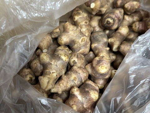 【農薬・化学肥料不使用】自然農法で育った紫菊芋　3kg