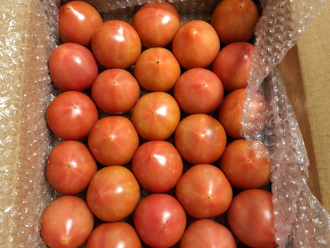 昔ながらのトマト🍅80サイズ箱詰め(3S以下玉)