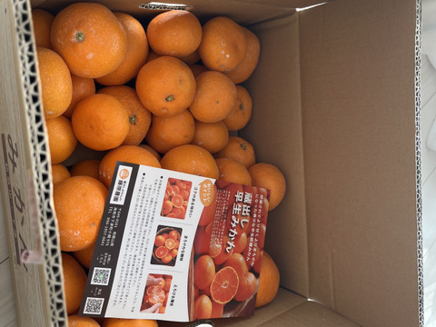 蔵出しみかん早生5kg｜和歌山県海南市下津町の特産品、蔵出しみかんの希少な早生品種