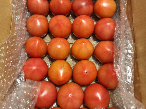 昔ながらのトマト🍅８０サイズ箱詰め(2S玉)