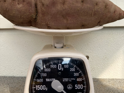 自然栽培〈規格外べにはるか〉大分県産さつまいも 4kg