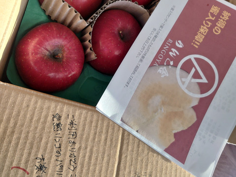 【蜜入保証】【サンふじ】（2kg・9～10個入り）パリパリ・ジューシーお得な家庭用