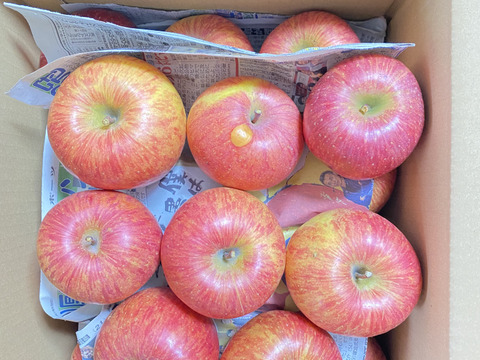 最終❗️山形県産　樹上完熟サンふじ🍎10キロ　家庭用❗️